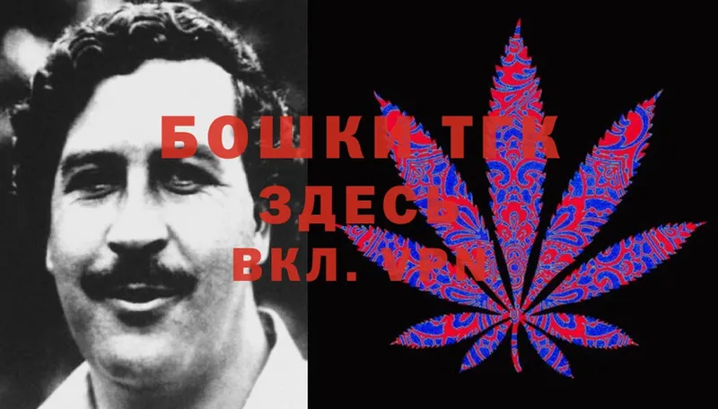 Конопля Ganja  закладки  Ардатов 